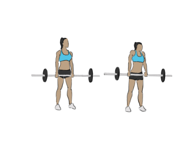 Barbell shrugs