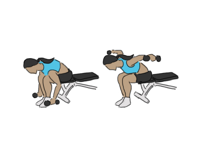 Bent-over dumbbell raises