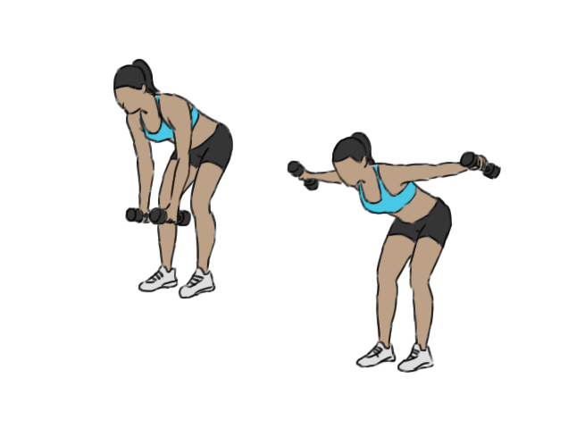 Standing bent-over dumbbell raises