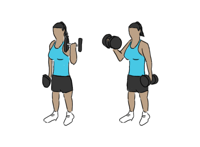 Alternating dumbbell biceps curl