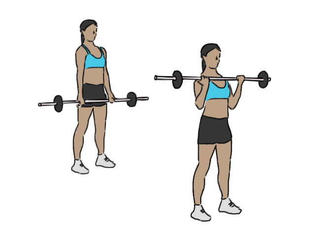 Barbell Biceps Curl GoFitnessPlan