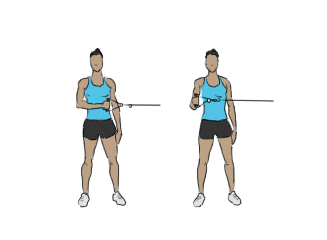 External Cable Shoulder Rotation GoFitnessPlan External Cable Shoulder Rotation GoFitnessPlan