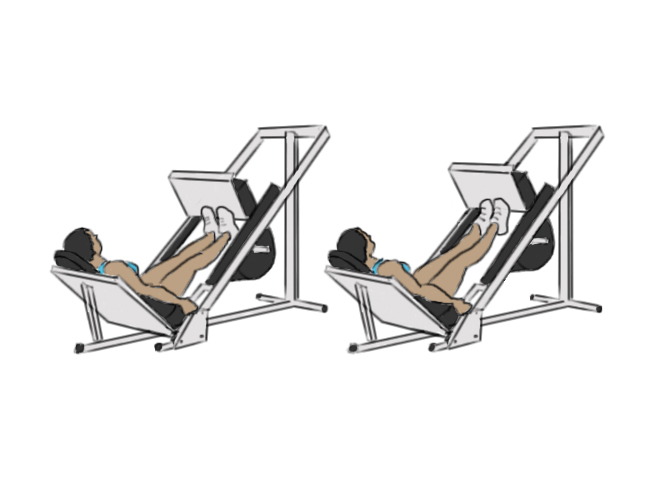 Leg press calf raises