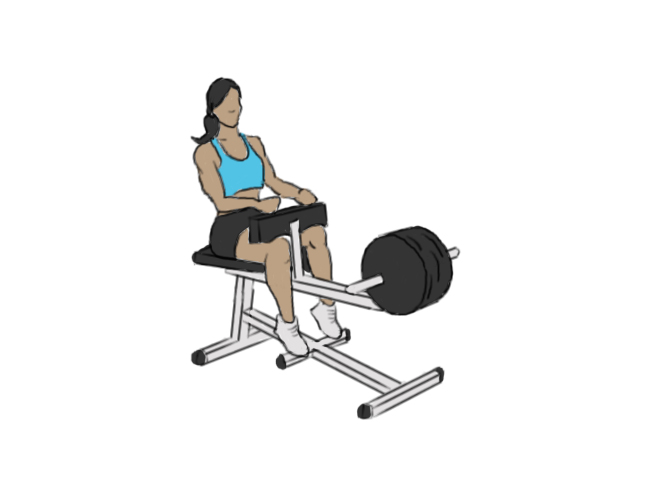 Seated calf raises