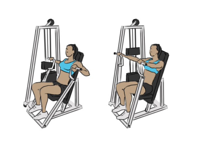 Seated chest press - GoFitnessPlan