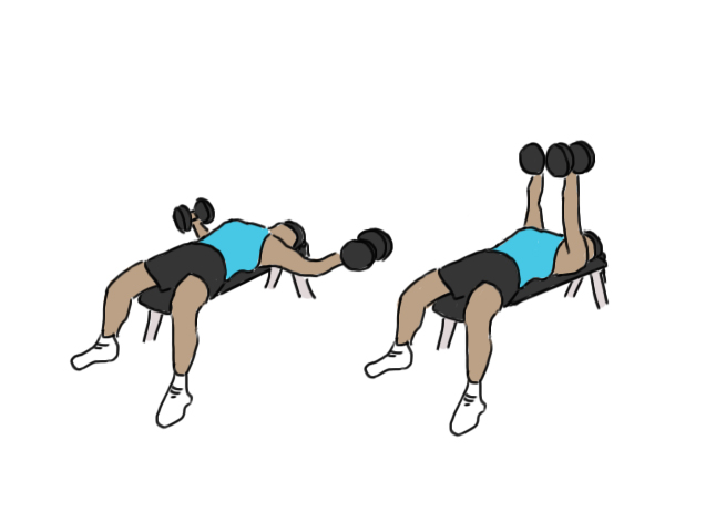 Dumbbell flyes