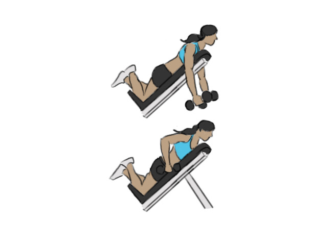 Incline Bench Row — Rehab Hero