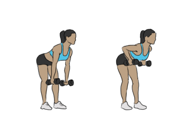 Bent over dumbbell row