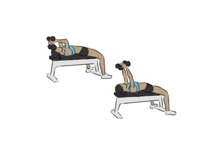 Dumbbell skull crusher