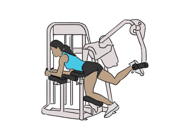 Glutes machine