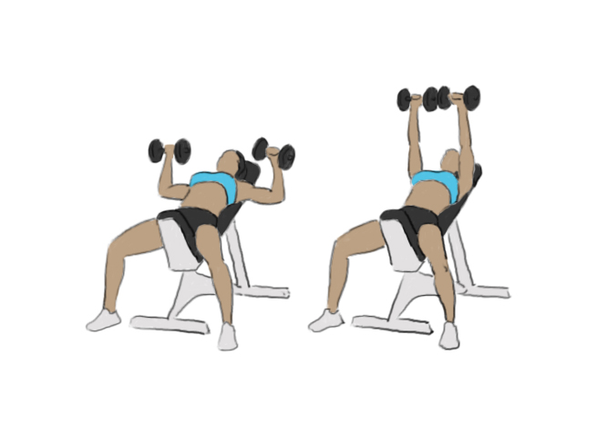 Incline dumbbell bench chest press