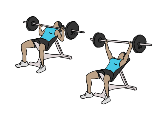 Barbell incline press