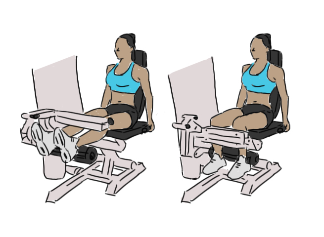 Seated leg curl