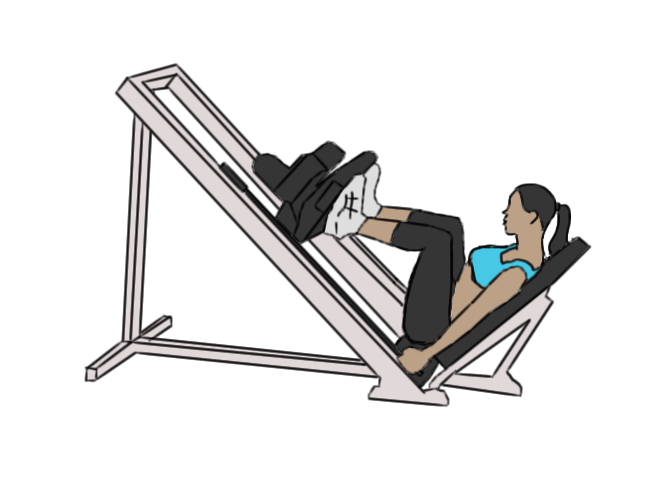 Leg press / Squat press