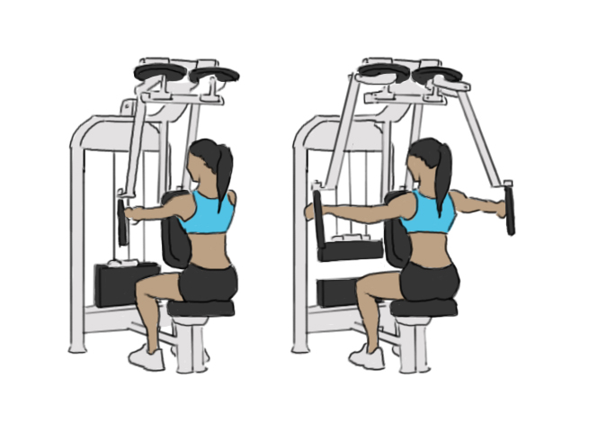 Rear Delt Fly On Machine