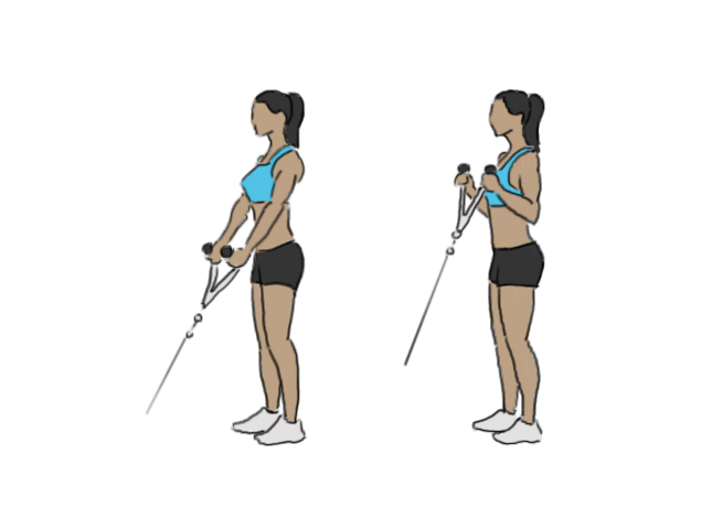 Standing biceps rope cable curl