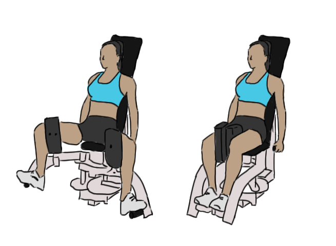 Seated adductor machine