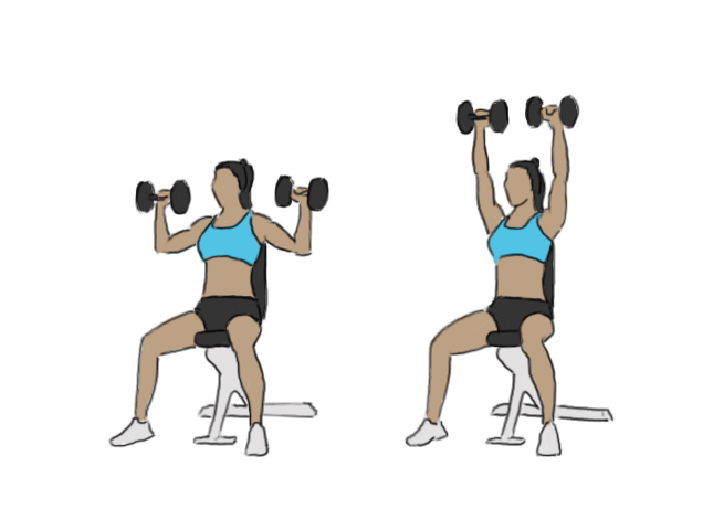 Seated Dumbbell Overhead Shoulder Press GoFitnessPlan Seated Dumbbell Overhead Shoulder Press GoFitnessPlan