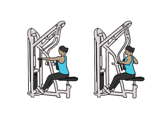 Seated row machine - GoFitnessPlan