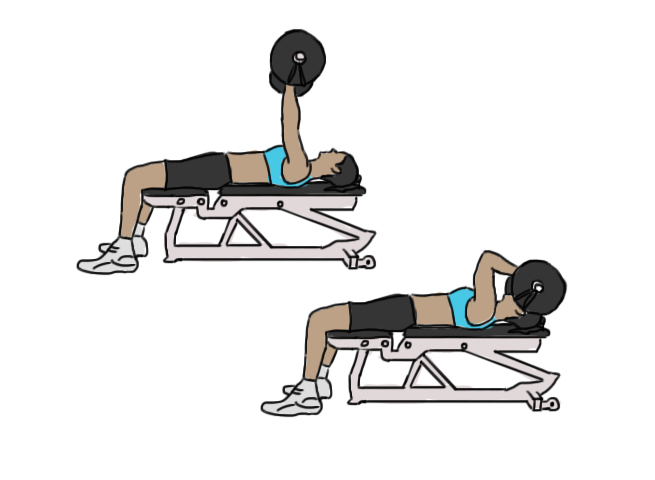 Barbell skull crusher