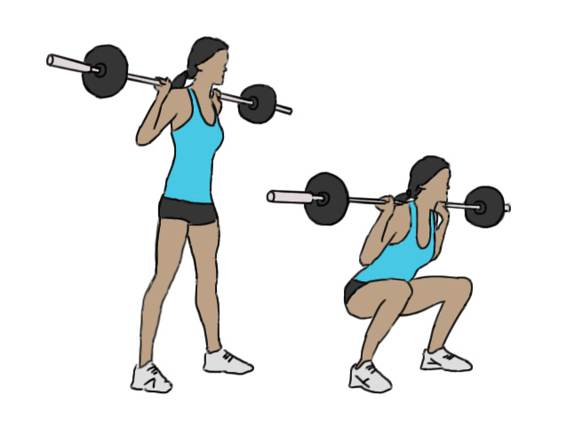 Barbell squats