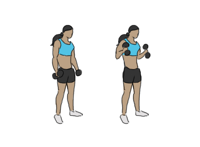 Dumbbell hammer biceps curl