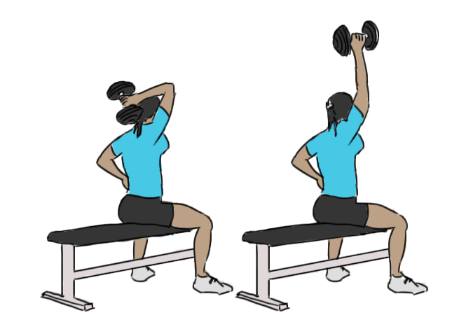 Seated overhead dumbbell triceps extensions