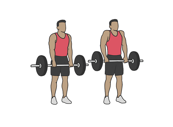 Barbell shrugs