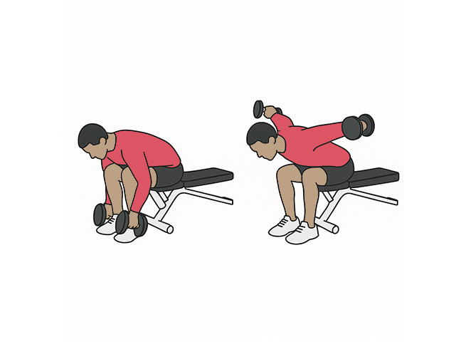 Bent-over dumbbell raises