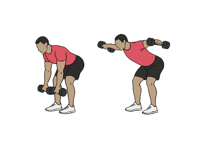 Standing bent-over dumbbell raises