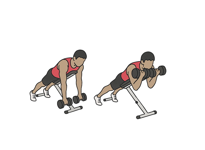 Spider biceps curls