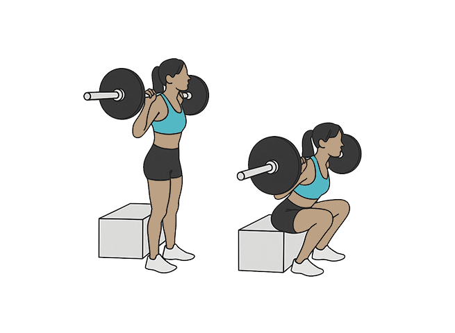 Barbell box squats