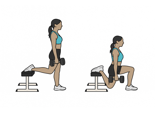 Bulgarian dumbbell split squat