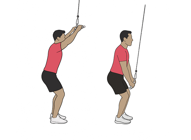 Straight arm cable pullovers / pulldowns