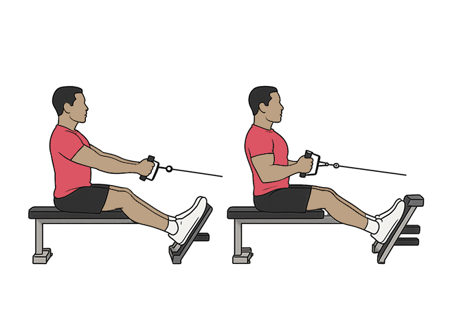 Seated cable back rows