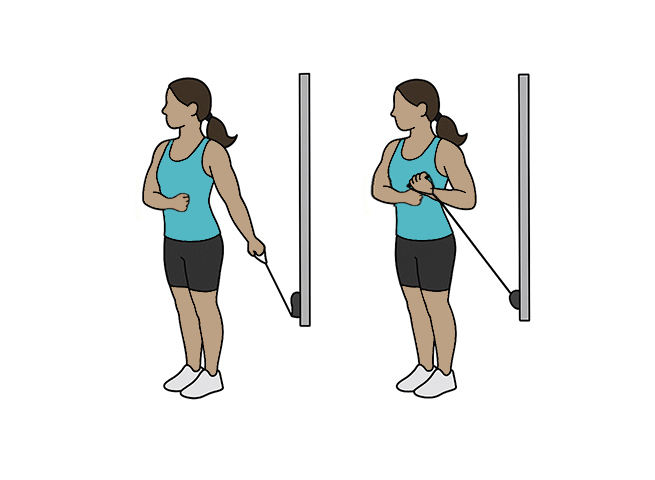 Standing biceps cable stretch curls