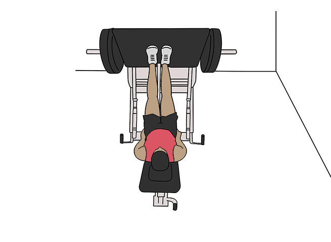 Close stance leg press / squat press