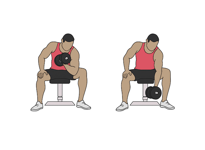 Concentration Curl