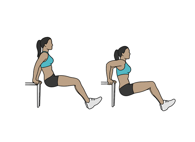 Bench / chair dips