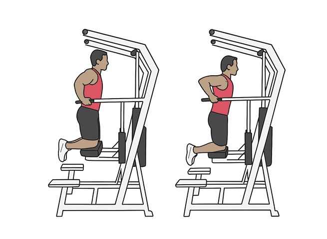 Assisted triceps dips