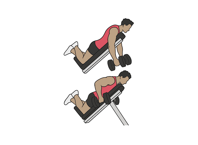 Dumbbell incline seal rows