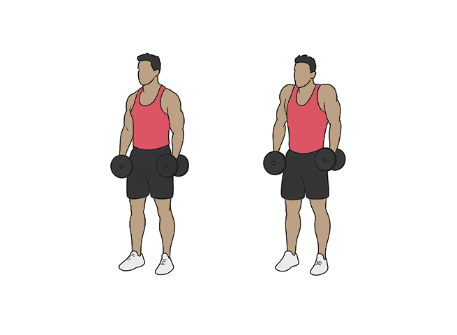 Dumbbell shrugs