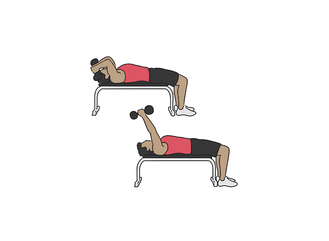 Dumbbell skull crusher