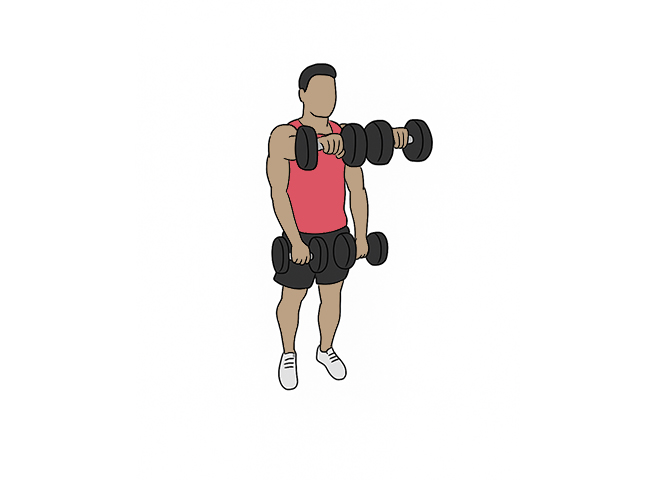 Dumbbell front raises