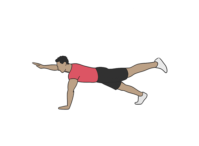 High plank arm and leg raised