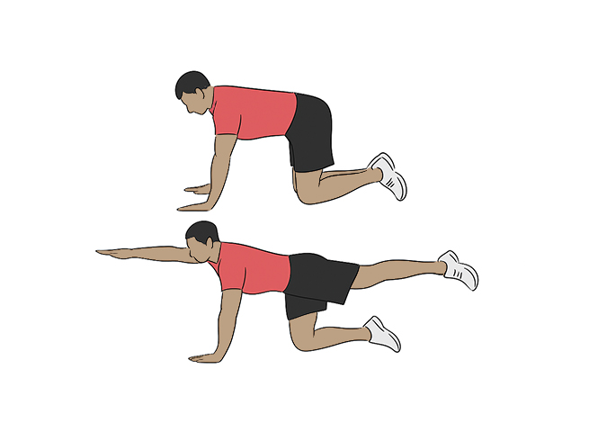 Straight leg / arm extension