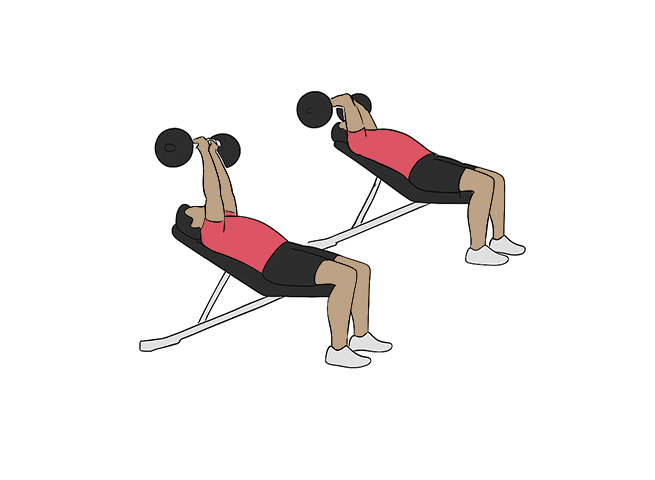 Barbell incline skull crusher