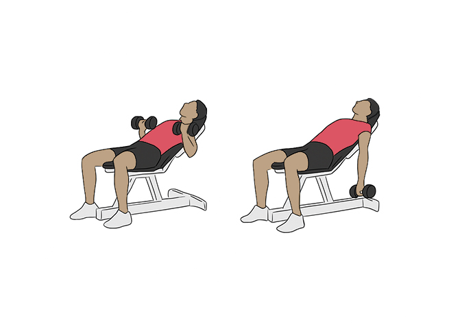 Incline dumbbell bicep curl