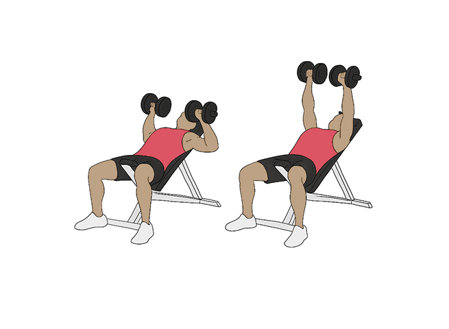 Incline dumbbell bench chest press