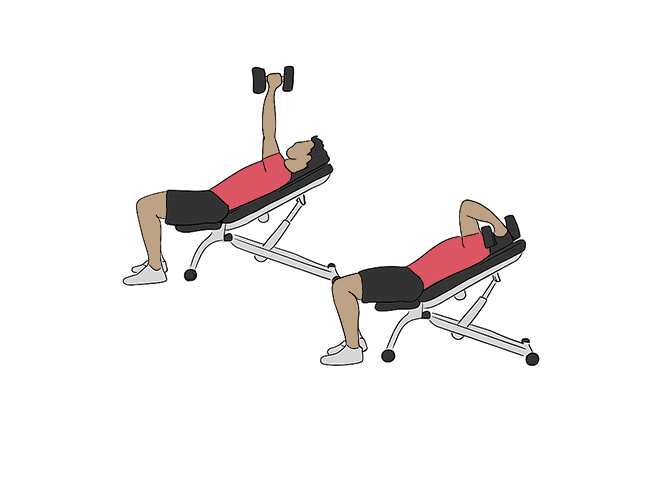 Dumbbell incline skull crusher